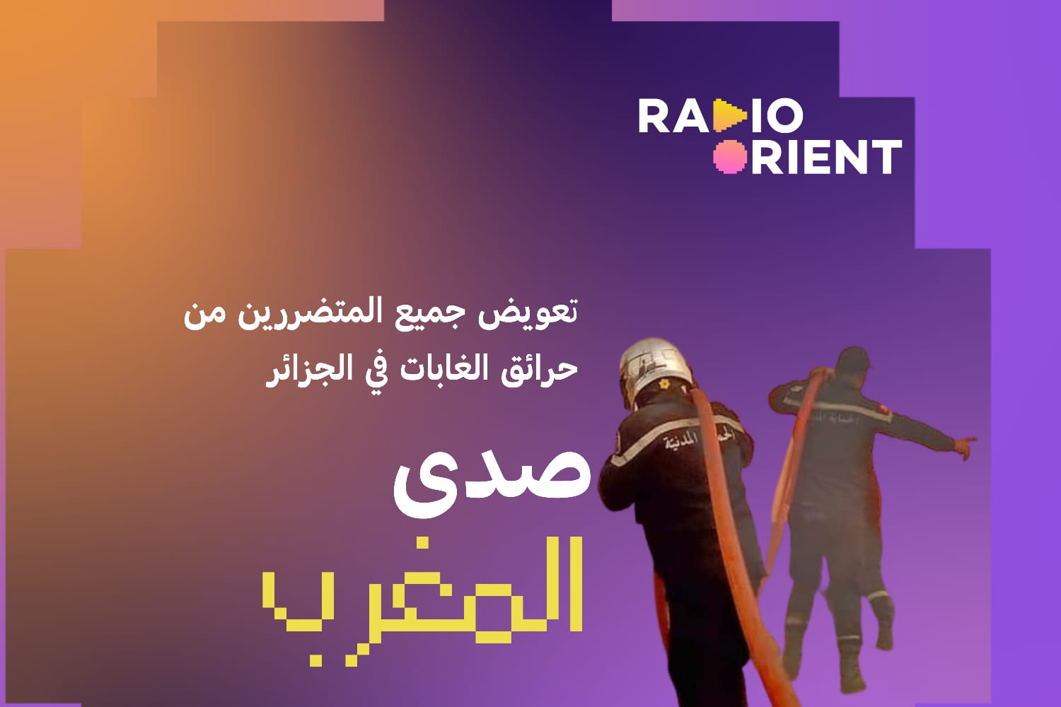 حرائق الغابات