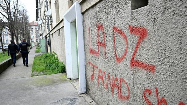 dz mafia