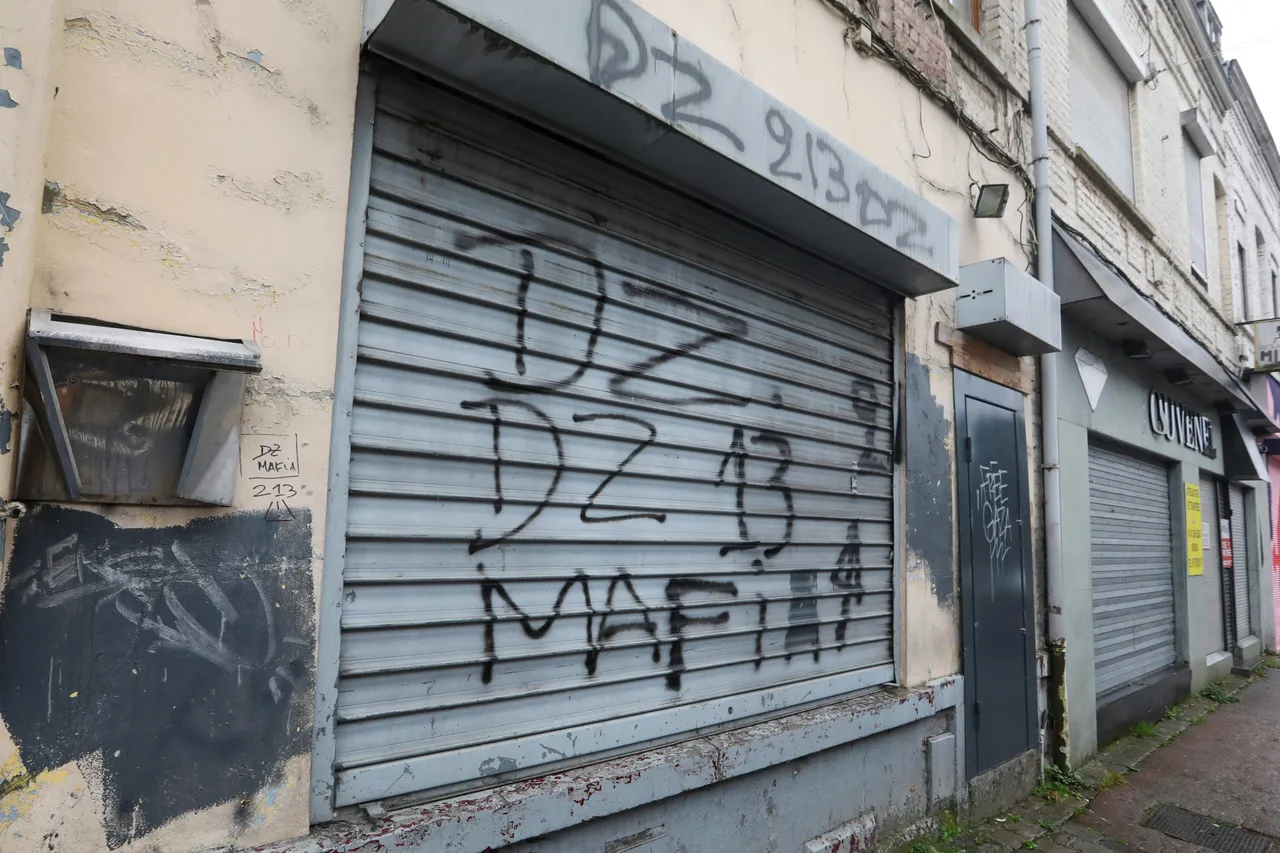 dz mafia