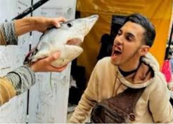 مول الحوت