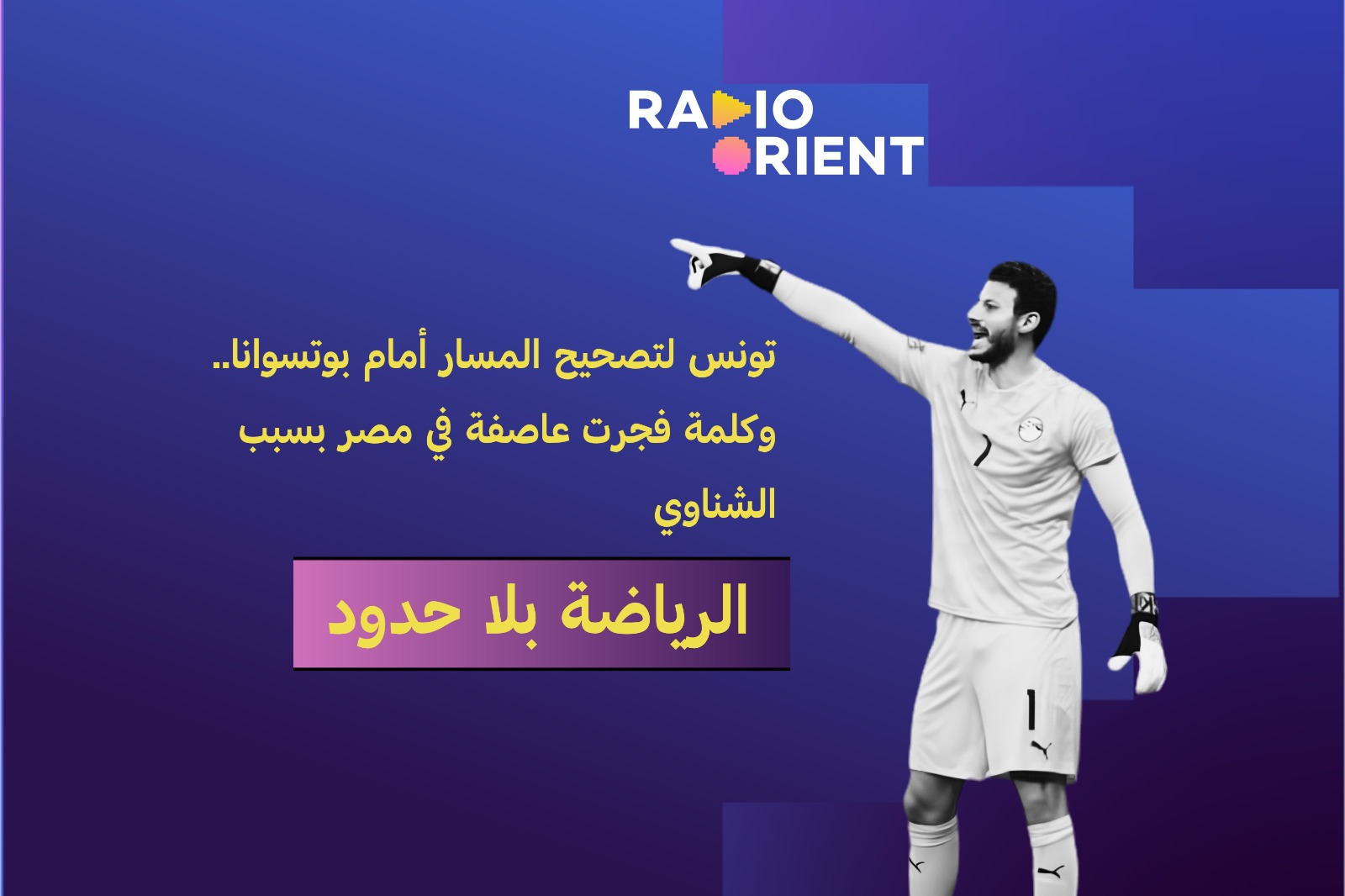 الشناوي