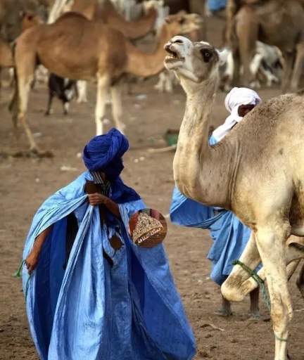 إسبانيا تعتزم منح جنسية للصحراويين