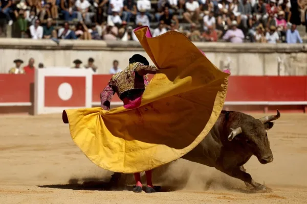 مصارع الثيران ماركو بيريز