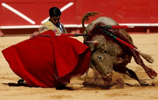 مصارع الثيران ماركو بيريز